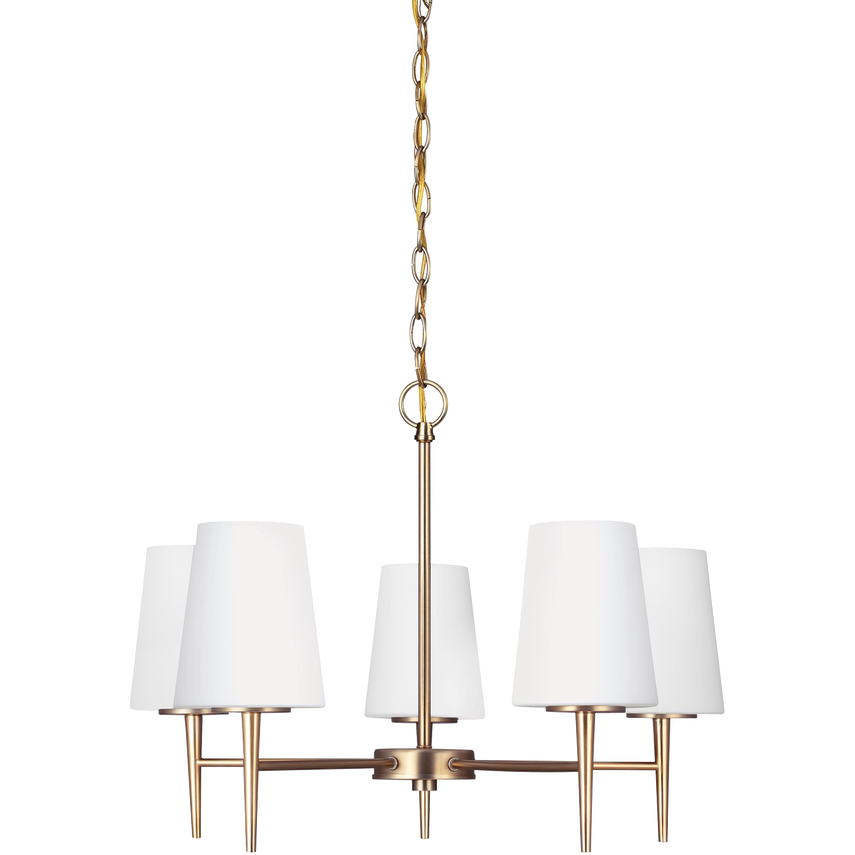 OPEN BOX - Driscoll Five Light Chandelier